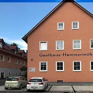 Hotel Landgasthof-hotel Hammermühle, Donaustauf